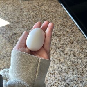 Meet your Posher, Springpaw